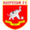 logo of Nay Pyi Taw FC