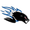 Club logo of Saint John Sea Dogs