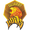 Club logo of Gujarat Lions