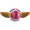 Club logo of Rising Pune Supergiants
