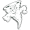 logo of Lake Erie Storm