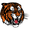 Club logo of Medicine Hat Tigers