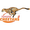 Club logo of Cheetahs