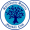 logo of Spelthorne Sports FC