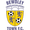 logo of Bewdley Town FC