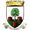 logo of Wells City FC