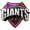 logo of San Fernando Giants