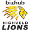 Club logo of Highveld Lions