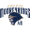Club logo of Nanjing Monkey King