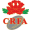 Club logo of Китай