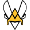 Club logo of Team Vitality Academy