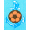logo of CDS Naval