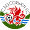 logo of Corwen FC