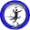 Club logo of Shahrdari Varamin VC