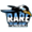 Club logo of Rare Penguins