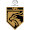Logo of Viengchanh FC