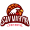 Club logo of Club San Martín