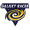 Club logo of Galaxy Racer