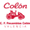 logo of CF Recambios Colón