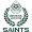 logo of Sindh Saints