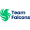 Club logo of Team Falcons