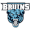 logo of Piedmont International Bruins