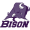 Club logo of Sunset Bison