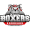 Club logo of Boxers de Bordeaux