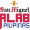 Club logo of San Miguel Alab Pilipinas