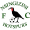 logo of Nsingizini Hotspurs FC