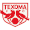 Logo of Texoma FC