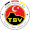 logo of Türkischer SV Singen