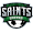 Club logo of Seward Saints