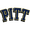 Club logo of Pittsburgh Panthers