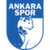 logo of Ankaraspor