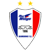 logo of Suwon Samsung Bluewings FC