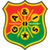 logo of GAIS U21