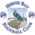 logo of Herne Bay FC