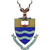 logo of Bidvest Wits FC