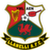 logo of Llaneli AFC
