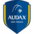 logo of Grêmio Osasco Audax