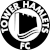 logo of Soul Tower Hamlets FC