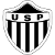logo of US Pianese