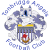 logo of Tonbridge Angels FC
