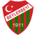 logo of Beylerbeyispor