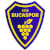 logo of Bucaspor 1928
