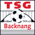 logo of TSG Backnang