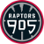 logo of Raptors 905
