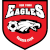 logo of New Town Eagles SC