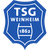 logo of TSG 62/09 Weinheim U19
